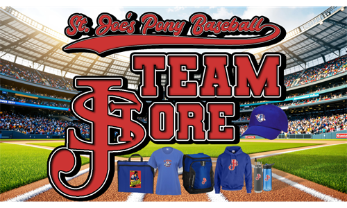 Team Store